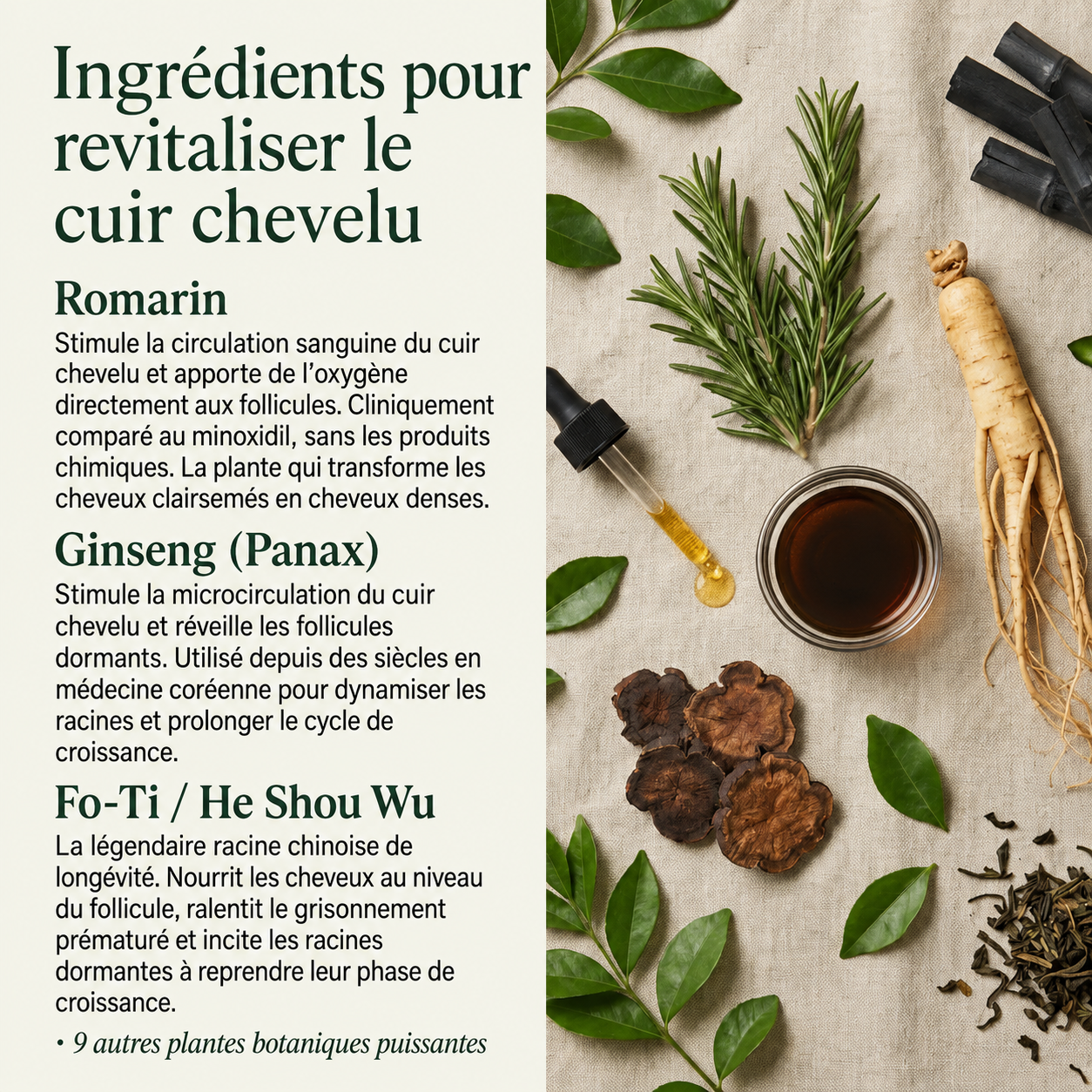 Savon Coréen Revitalisant pour Cuir Chevelu — 12 Herbes Fermentées